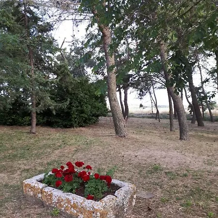 Vakantieboerderij Il Casale Falagario Stacca