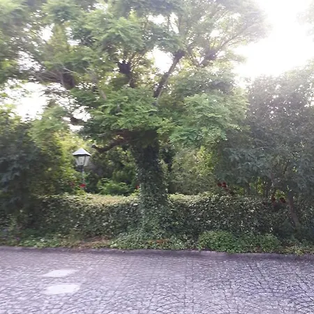 Vakantieboerderij Il Casale Falagario Stacca
